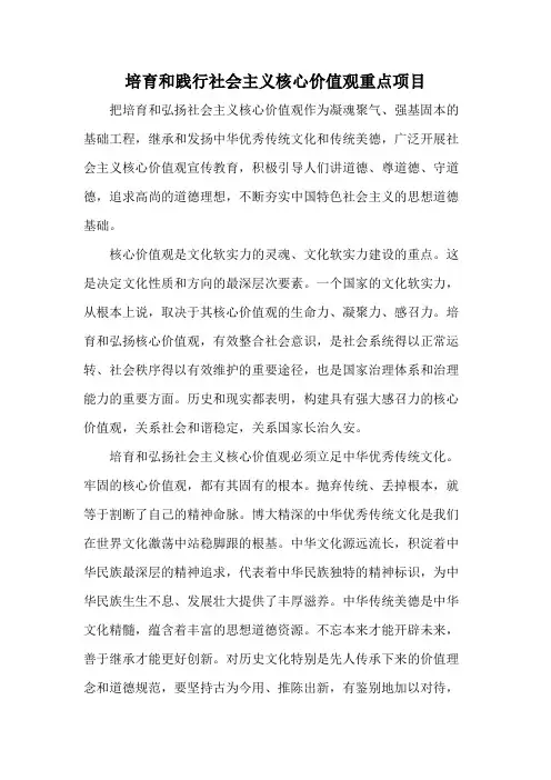 培育和践行社会主义核心价值观重点项目