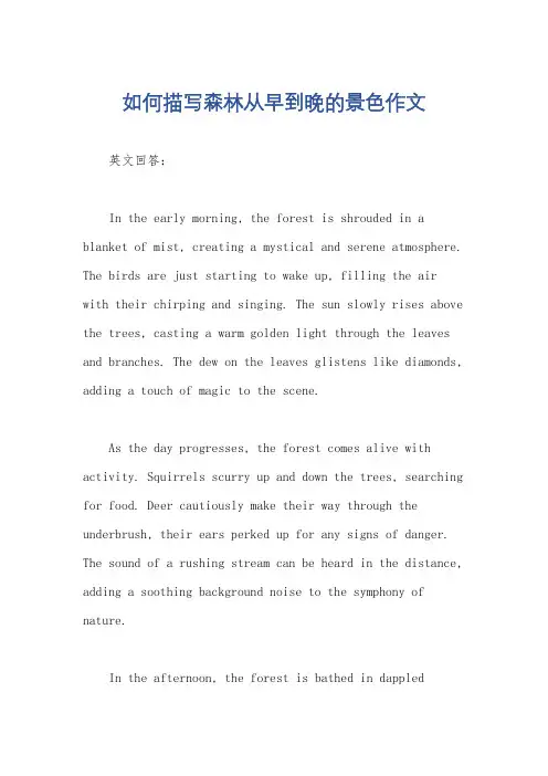 如何描写森林从早到晚的景色作文