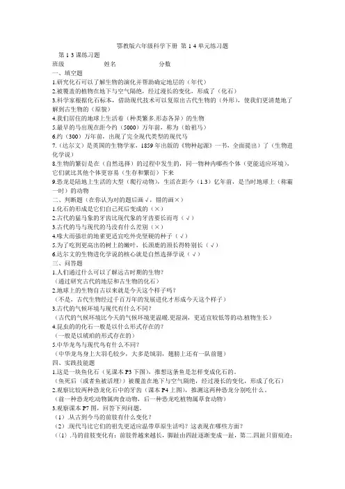 鄂教版六年级科学下册复习题