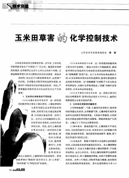 玉米田草害的化学控制技术
