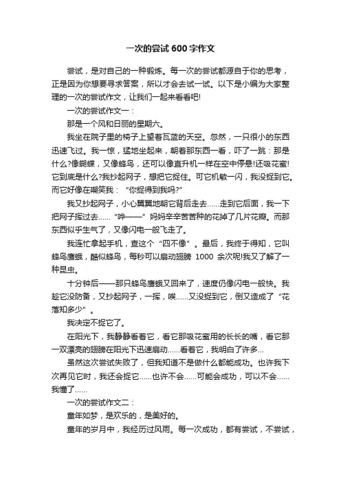 一次的尝试600字作文
