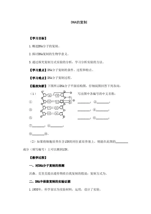 人教版高中生物必修二《DNA的复制》学案