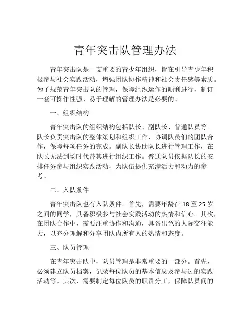 青年突击队管理办法