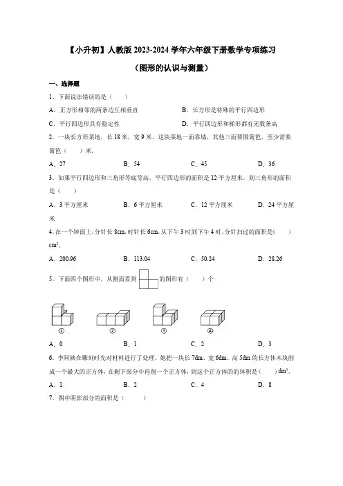 【小升初】人教版2023-2024学年六年级下册数学专项练习(图形的认识与测量)无答案