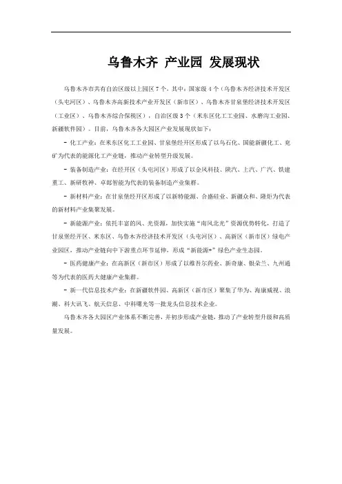 乌鲁木齐 产业园 发展现状