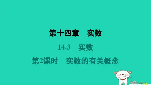 河北省2024八年级数学上册第十四章实数14.3实数第2课时实数的有关概念课件新版冀教版