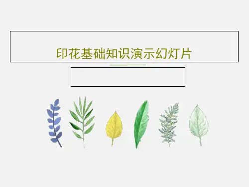 印花基础知识演示幻灯片PPT文档99页