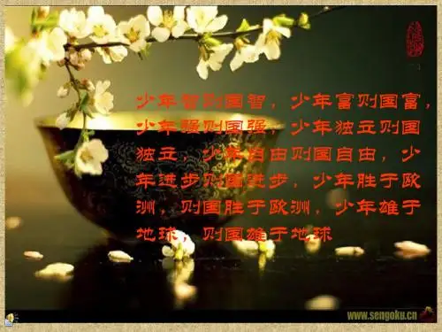 岳飞《满江红》ppt课件01