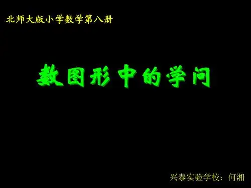 《数图形中的学问》课件