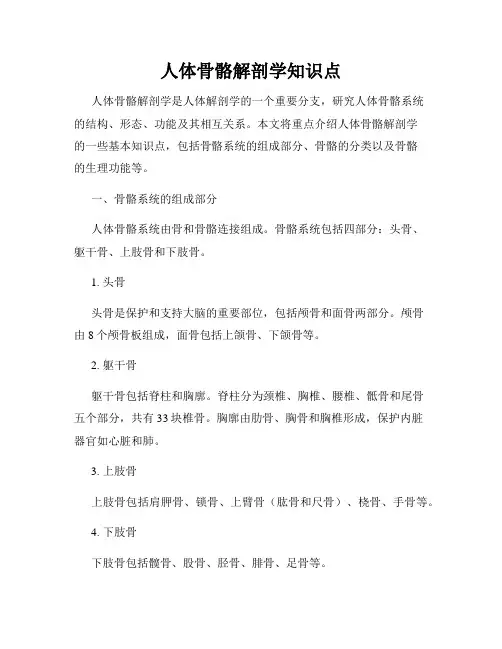 人体骨骼解剖学知识点