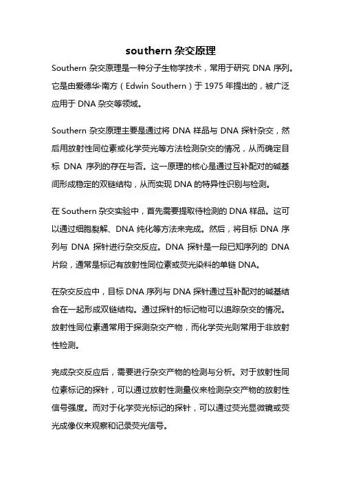 southern杂交原理
