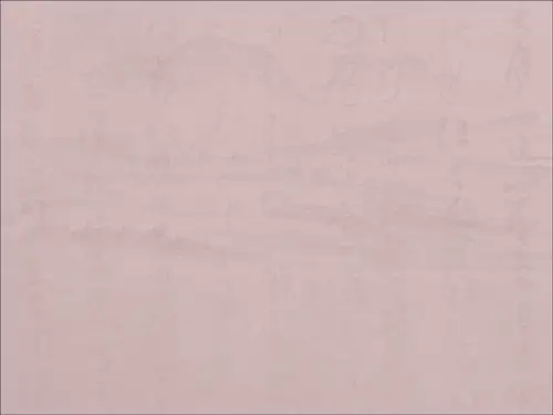 弹性髓内钉PPT课件