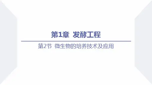 微生物的培养技术及应用(第1课时 微生物的基本培养技术)高二生物(人教版2019选择性必修3)
