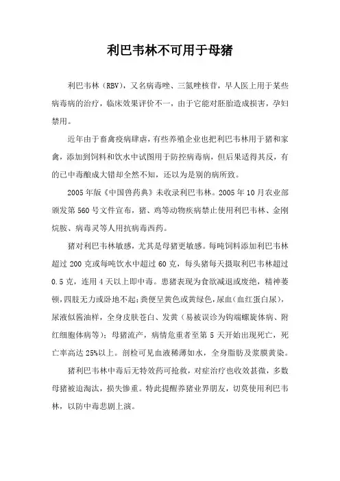 利巴韦林不可用于母猪