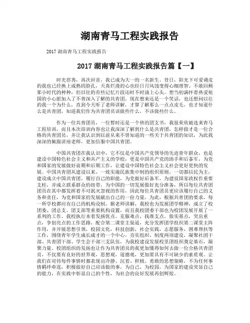 湖南青马工程实践报告