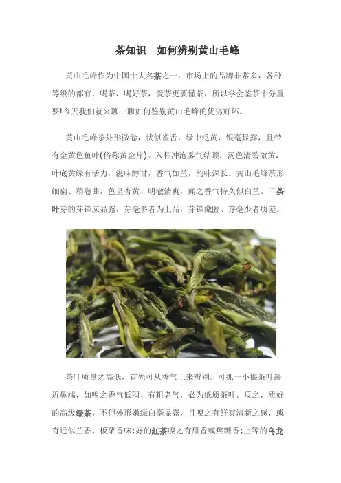 茶知识—如何辨别黄山毛峰