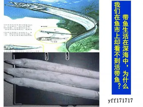 初中物理《液体的压强》(共42张)ppt23