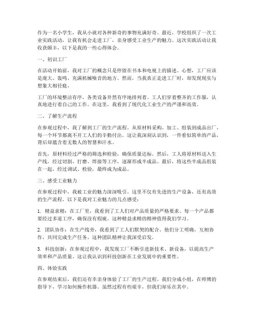 小学生工业实践心得体会
