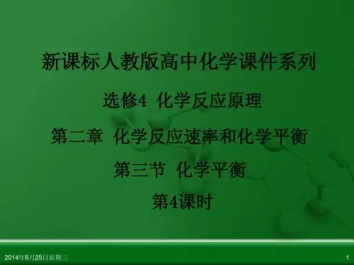 人教版高中化学选修4 化学反应原理 第二章 第三节 化学平衡(第4课时)