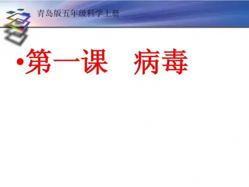 病毒课件[1]