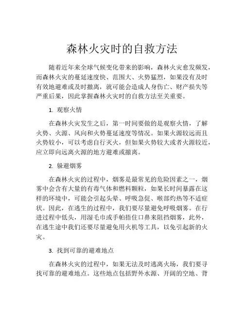 森林火灾时的自救方法
