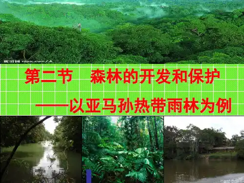 人教版高中地理必修3第二章第2节《森林的开发和保护——以亚马逊热带雨林为例》优质课件(共37张)