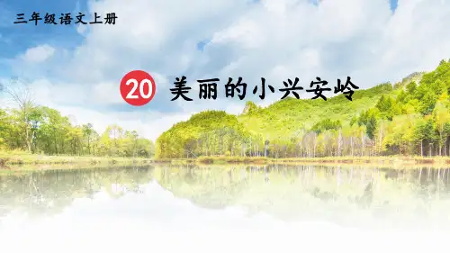 部编版三年级语文上册第20课《美丽的小兴安岭》优质课件【最新】