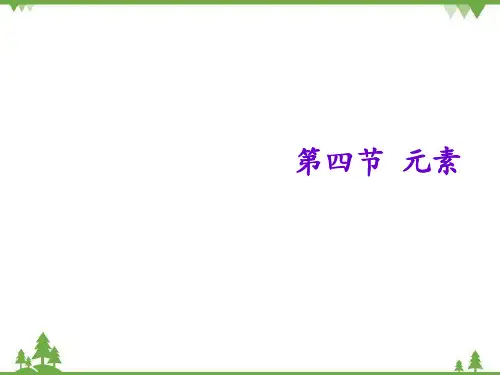 鲁教版九年级化学上册  元素课件