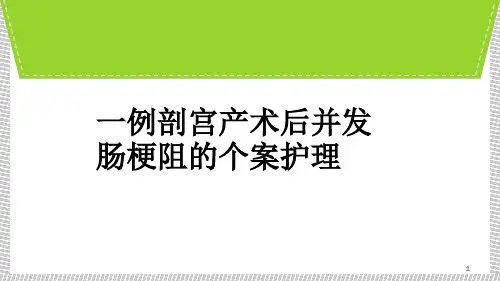 一例剖宫产术后并发肠梗阻个案护理PPT课件
