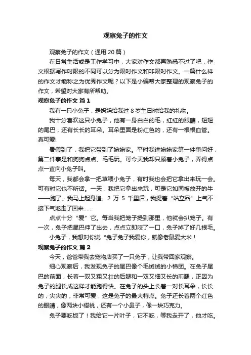 观察兔子的作文（通用20篇）