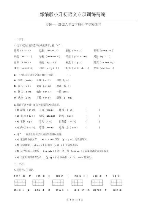 2020年-2021年部编版小升初语文专项训练----生字专项训练精编附参考答案