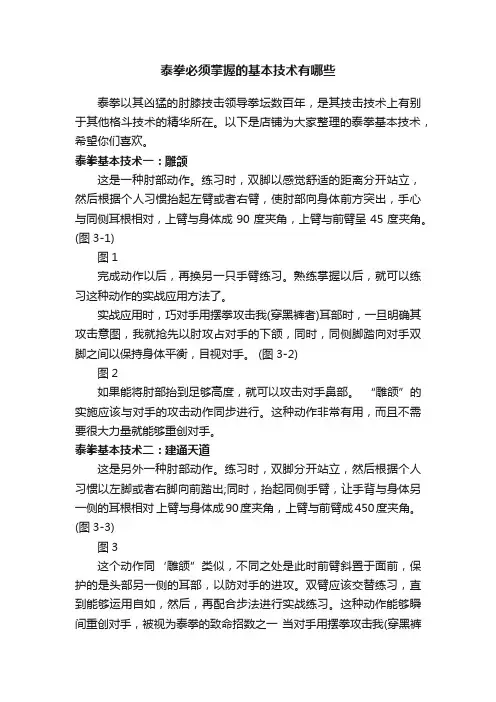 泰拳必须掌握的基本技术有哪些