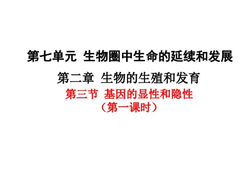 人教版初中生物八年级下册第七单元第二章第三节 基因的显性和隐形(第一课时)课件(共17张PPT)