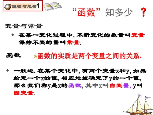 反比例函数 课件 2023—2024学年鲁教版(五四制)数学九年级上册