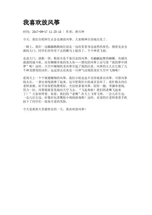我喜欢放风筝