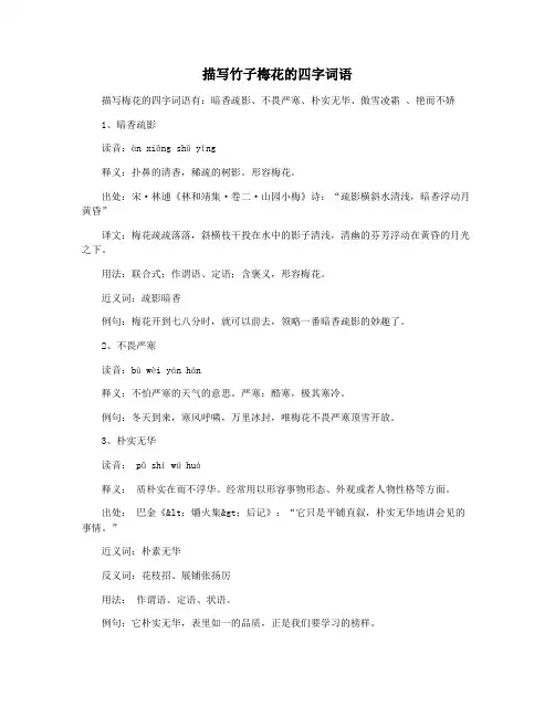 描写竹子梅花的四字词语