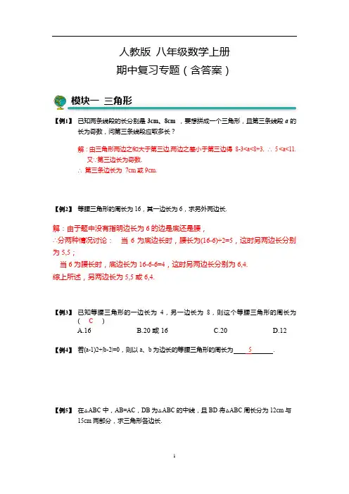 人教版 八年级数学上册期中复习专题(含答案)