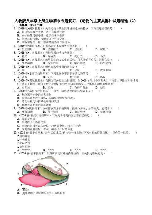 2020-2021学年人教版八年级上册生物期末专题复习：《动物的主要类群》试题精选(2)