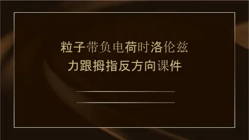 粒子带负电荷时洛伦兹力跟拇指反方向课件