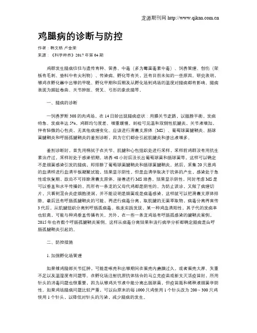 鸡腿病的诊断与防控