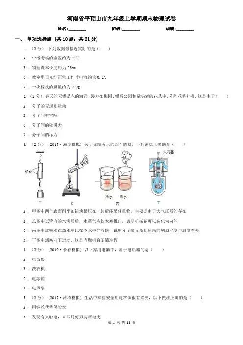 河南省平顶山市九年级上学期期末物理试卷