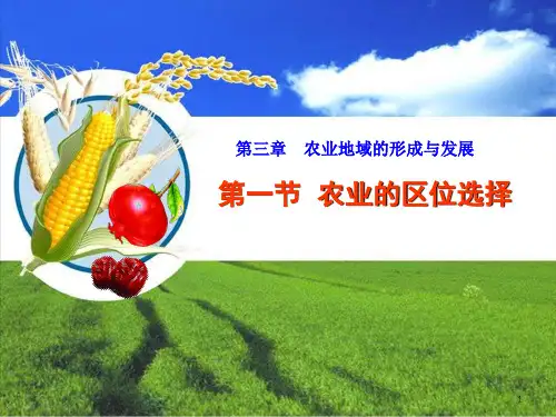 人教版地理必修二 农业的区位选择(共20张PPT)