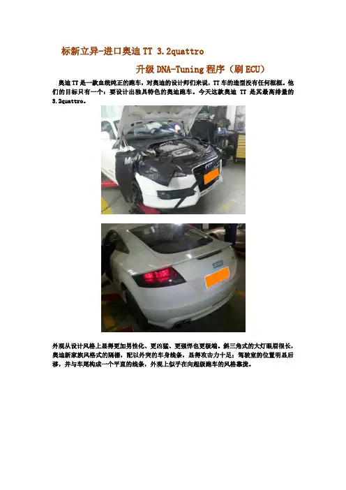 标新立异-进口奥迪TT 3.2quattro升级DNA-Tuning程序(刷ECU)