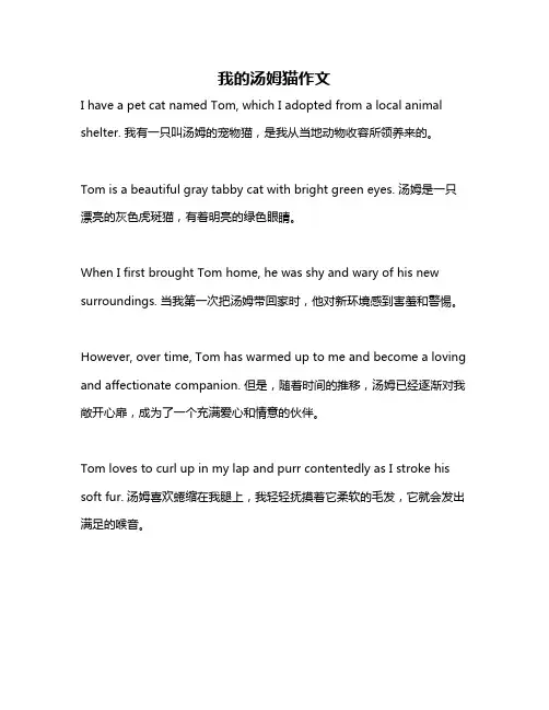 我的汤姆猫作文