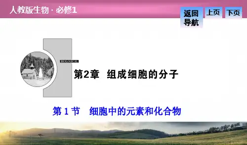 2018-2019高中生物第二章组成细胞的分子第1节细胞中的元素和化合物课件(1)必修一