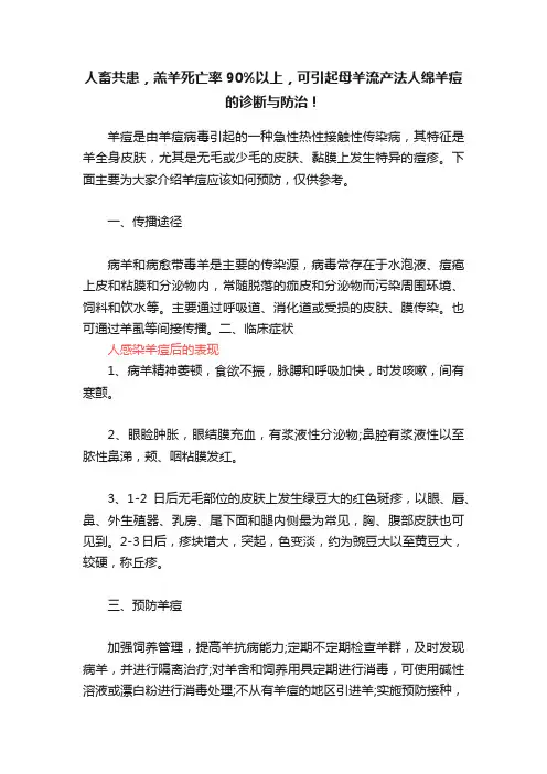 人畜共患，羔羊死亡率90%以上，可引起母羊流产法人绵羊痘的诊断与防治！