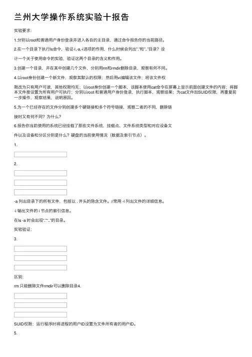 兰州大学操作系统实验十报告