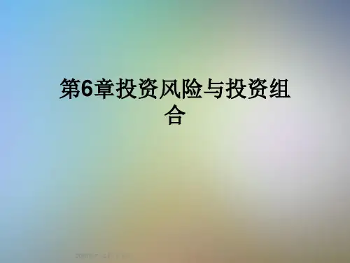 第6章投资风险与投资组合
