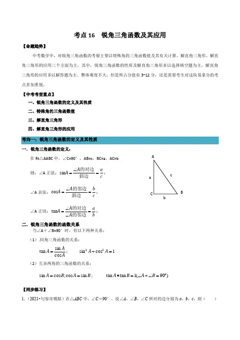 锐角三角函数及其应用-2022年中考数学一轮复习考点(浙江专用)(解析版)