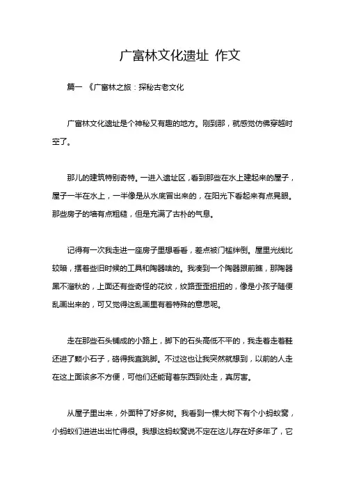 广富林文化遗址 作文